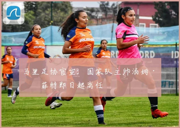 马里足协官宣：国家队主帅汤姆·圣菲特即日起离任